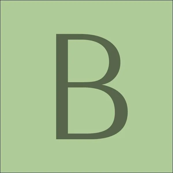 Logo BonTempo